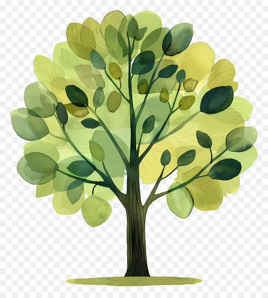 الكرتون شجرة，الرسم بالألوان المائية PNG