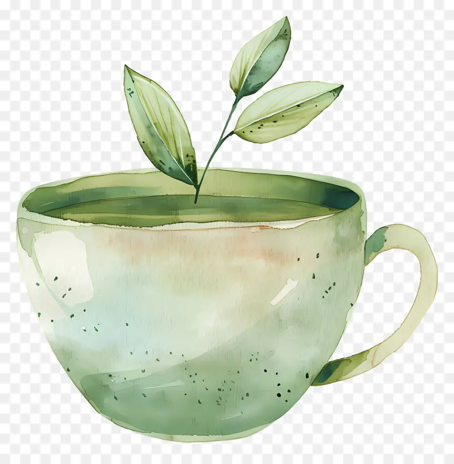 كأس الشاي，الشاي الأخضر PNG