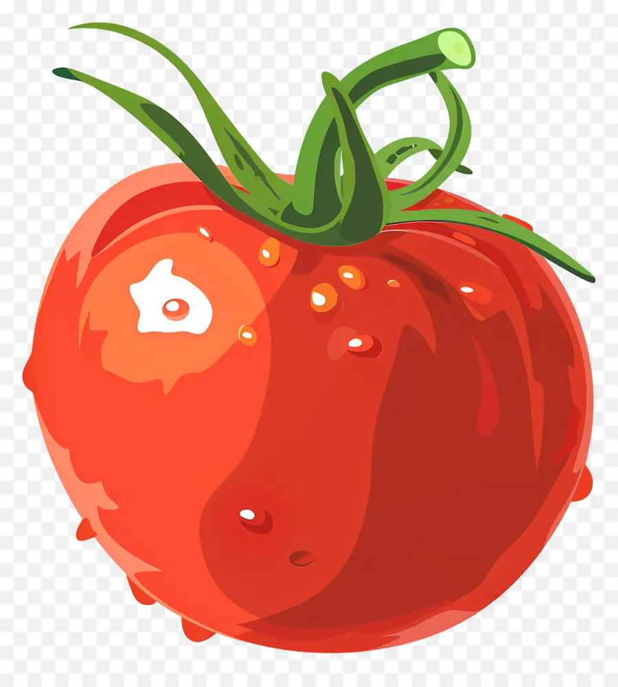 الطماطم，الطماطم الحمراء PNG
