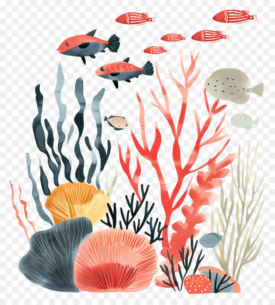 الشعاب المرجانية，الحياة المائية PNG