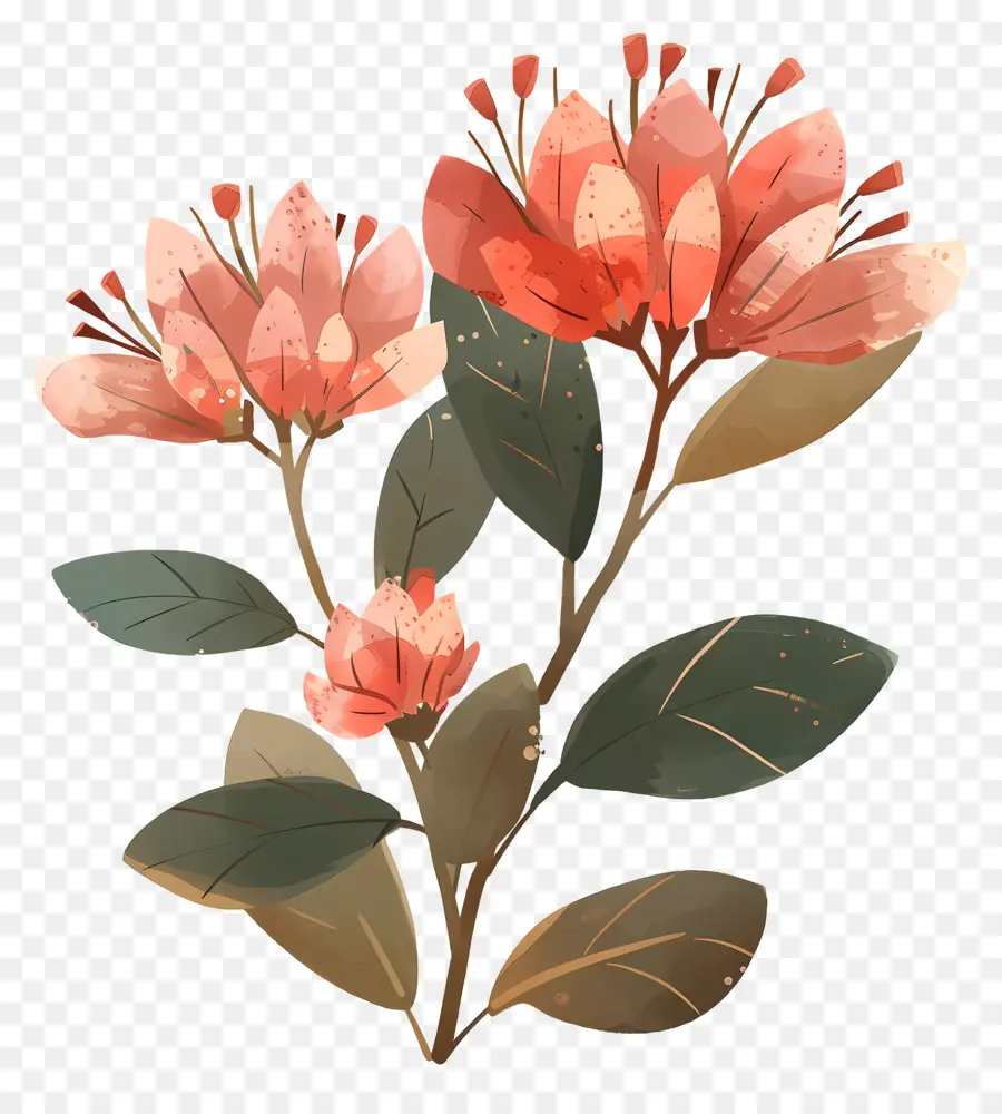 شجيرة زهرة，زهرة الوردي PNG