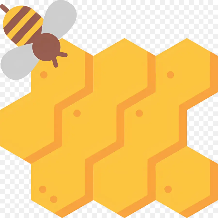 العسل，خلية النحل PNG