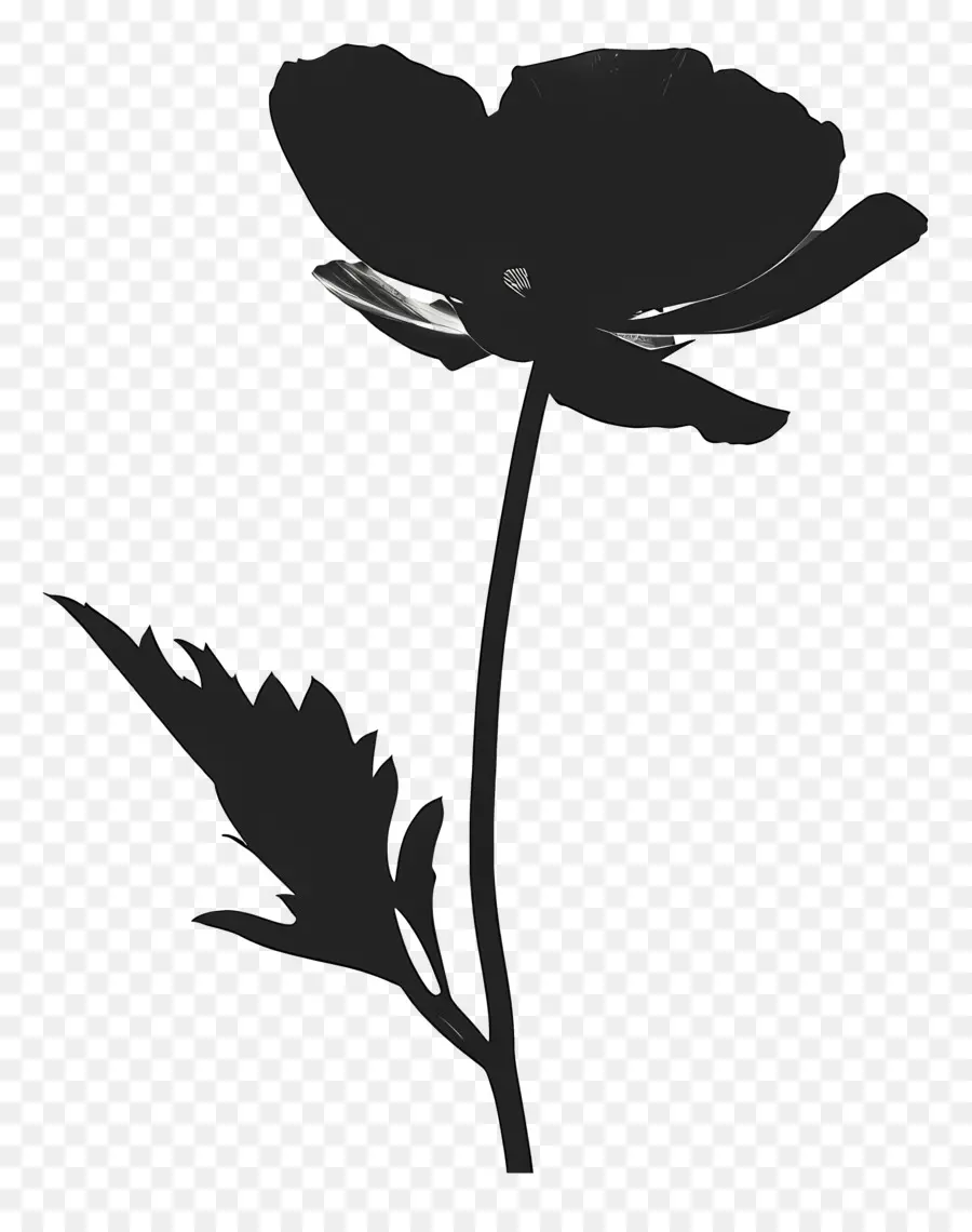 صورة ظلية زهرة，زهرة بيضاء PNG