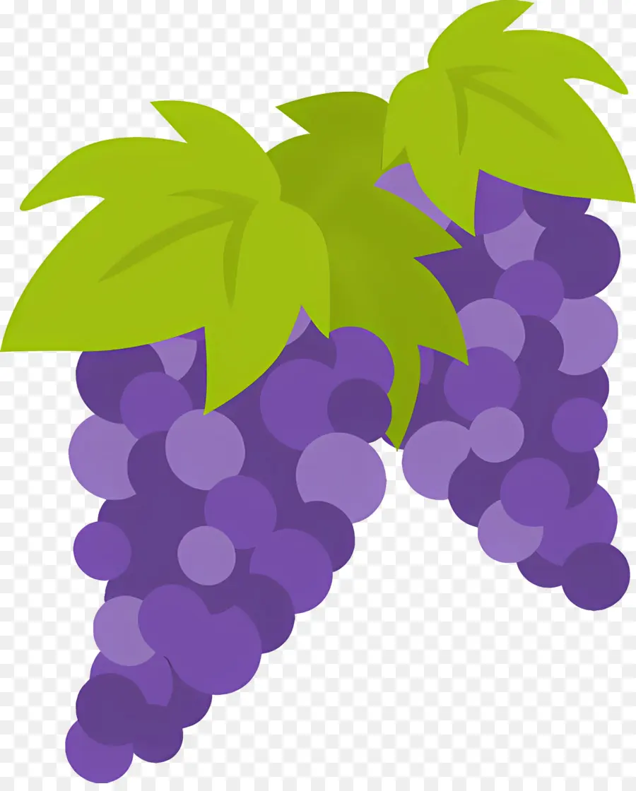 الفاكهة，العنب PNG