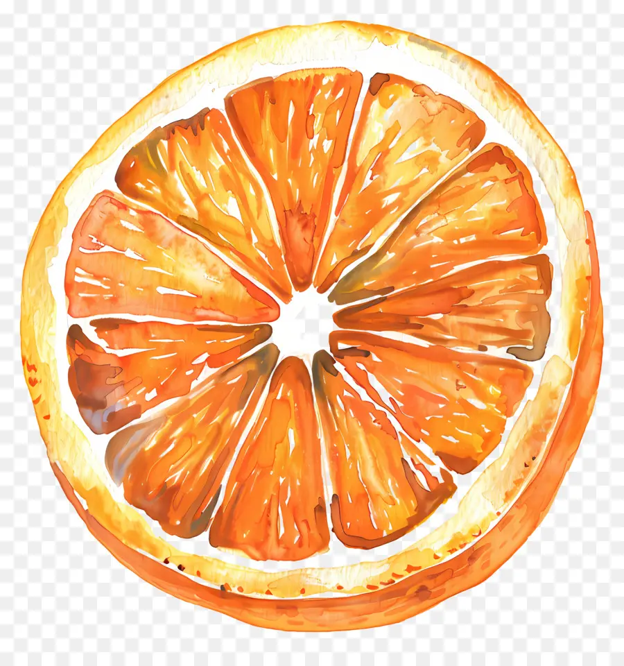 نصف البرتقال，شريحة البرتقال PNG
