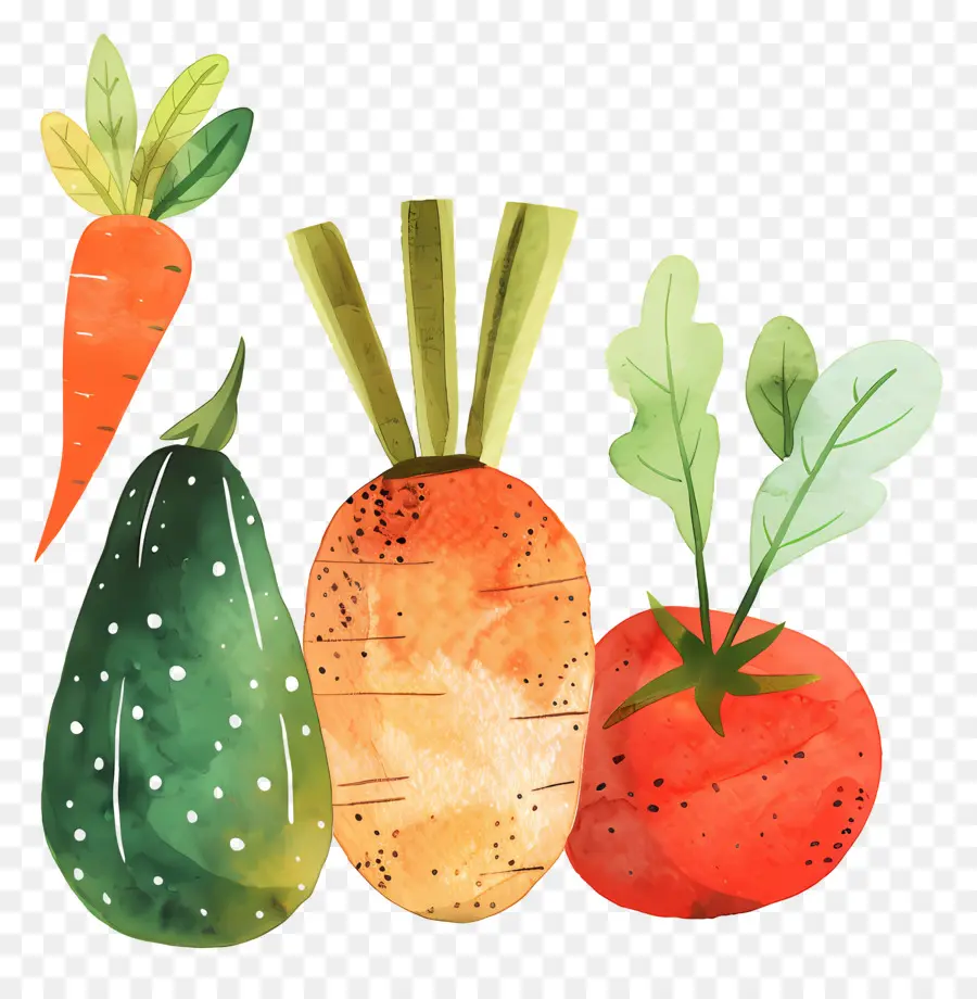 الخضروات，الرسم بالألوان المائية PNG