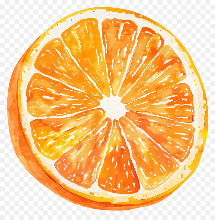 شريحة البرتقال，الرسم بالألوان المائية PNG