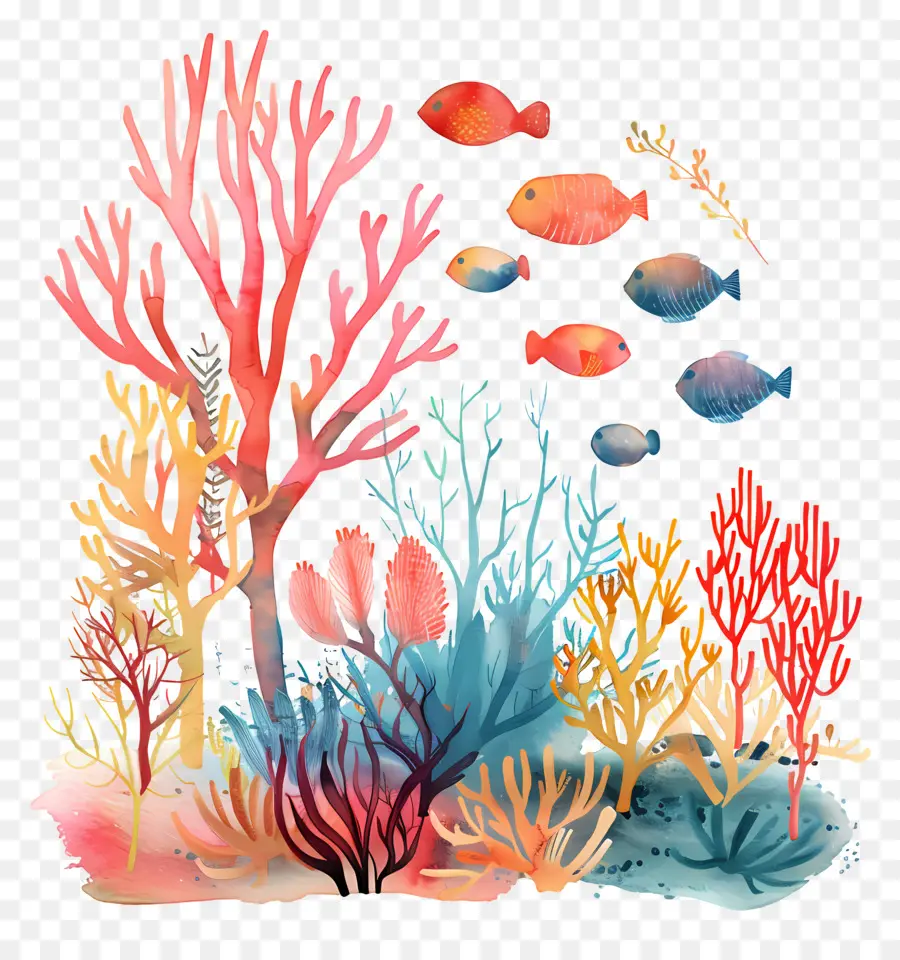 تحت الماء，الشعاب المرجانية PNG