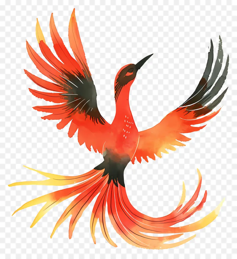 فينيكس，الطائر الأحمر PNG