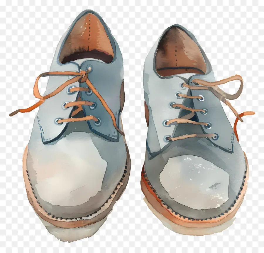 الأحذية，ألوان مائية الأحذية PNG