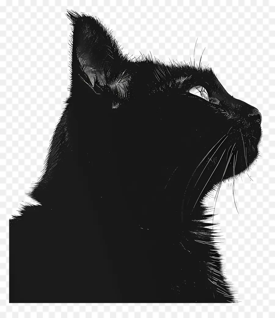 القط صورة ظلية ، ，القط الأسود PNG