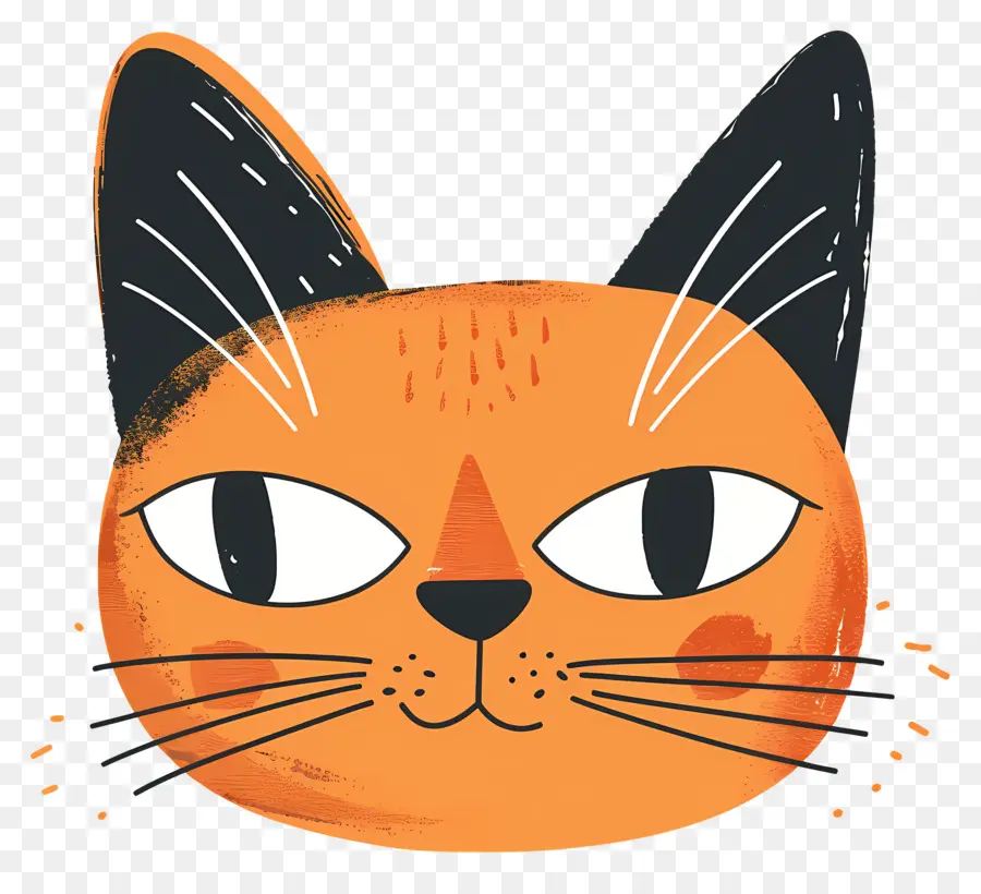 رأس القط，القط البرتقالي PNG