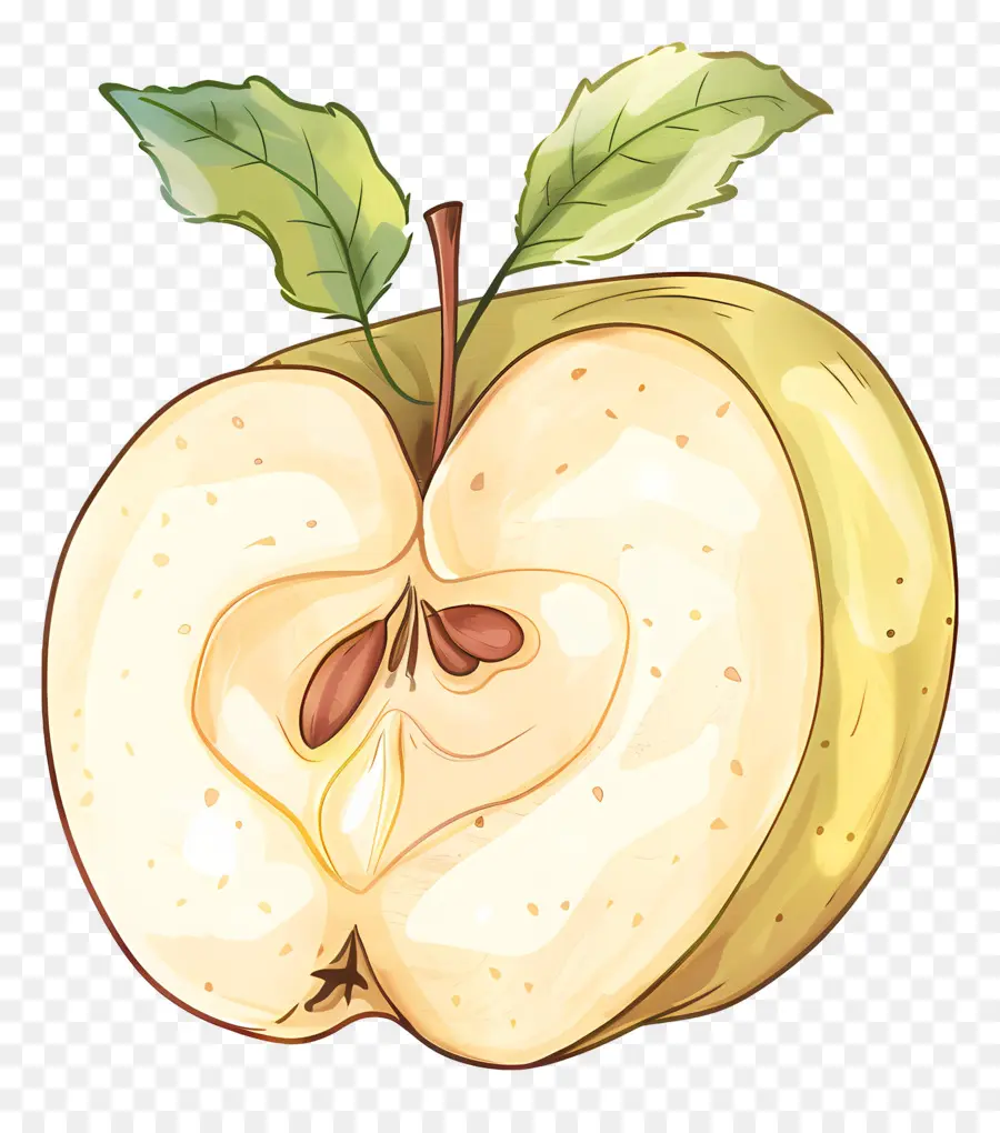 شريحة التفاح，أبل PNG