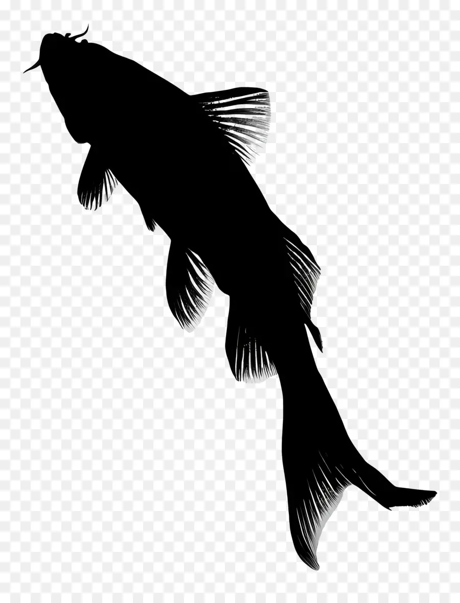 الأسماك خيال，الأسماك PNG