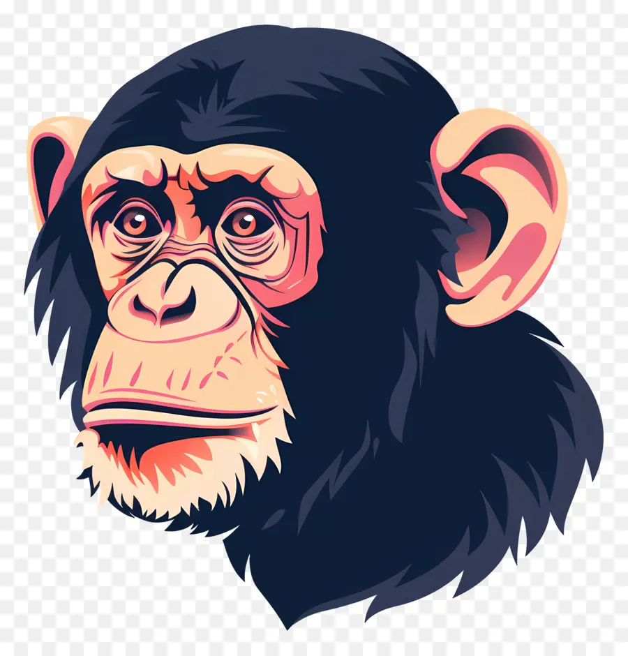 رأس القرد，الشمبانزي PNG