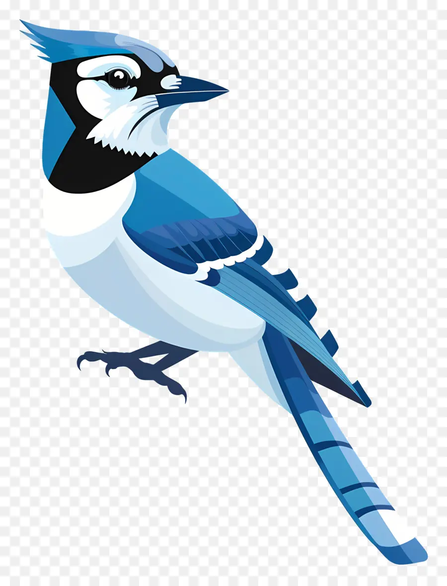 الأزرق جاي，الطيور PNG
