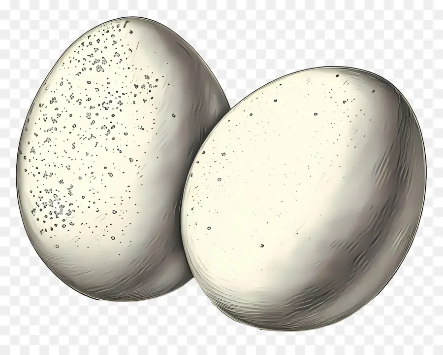 البيض，الرسم PNG
