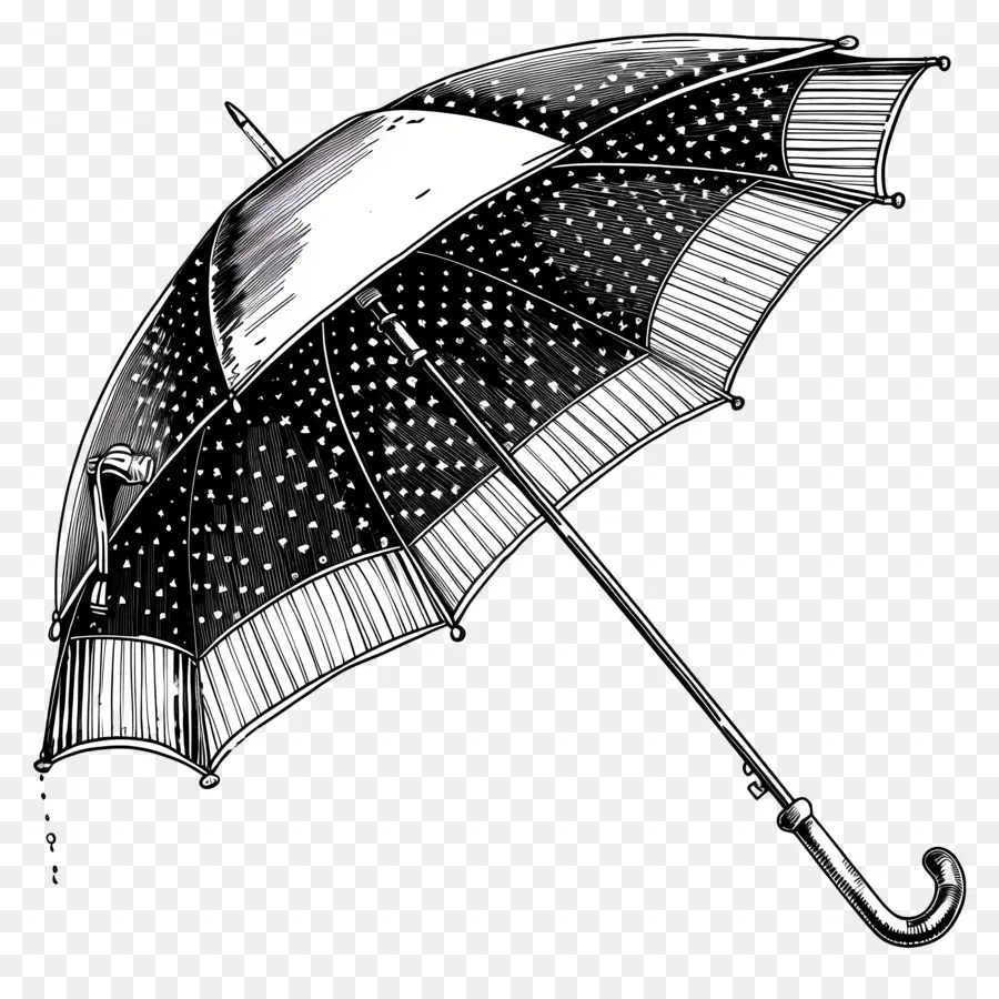 مظلة，الأسود و الأبيض PNG