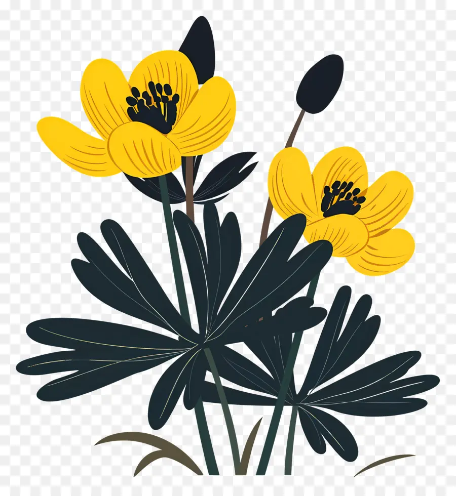 الشتاء البيش，الزهور الصفراء PNG