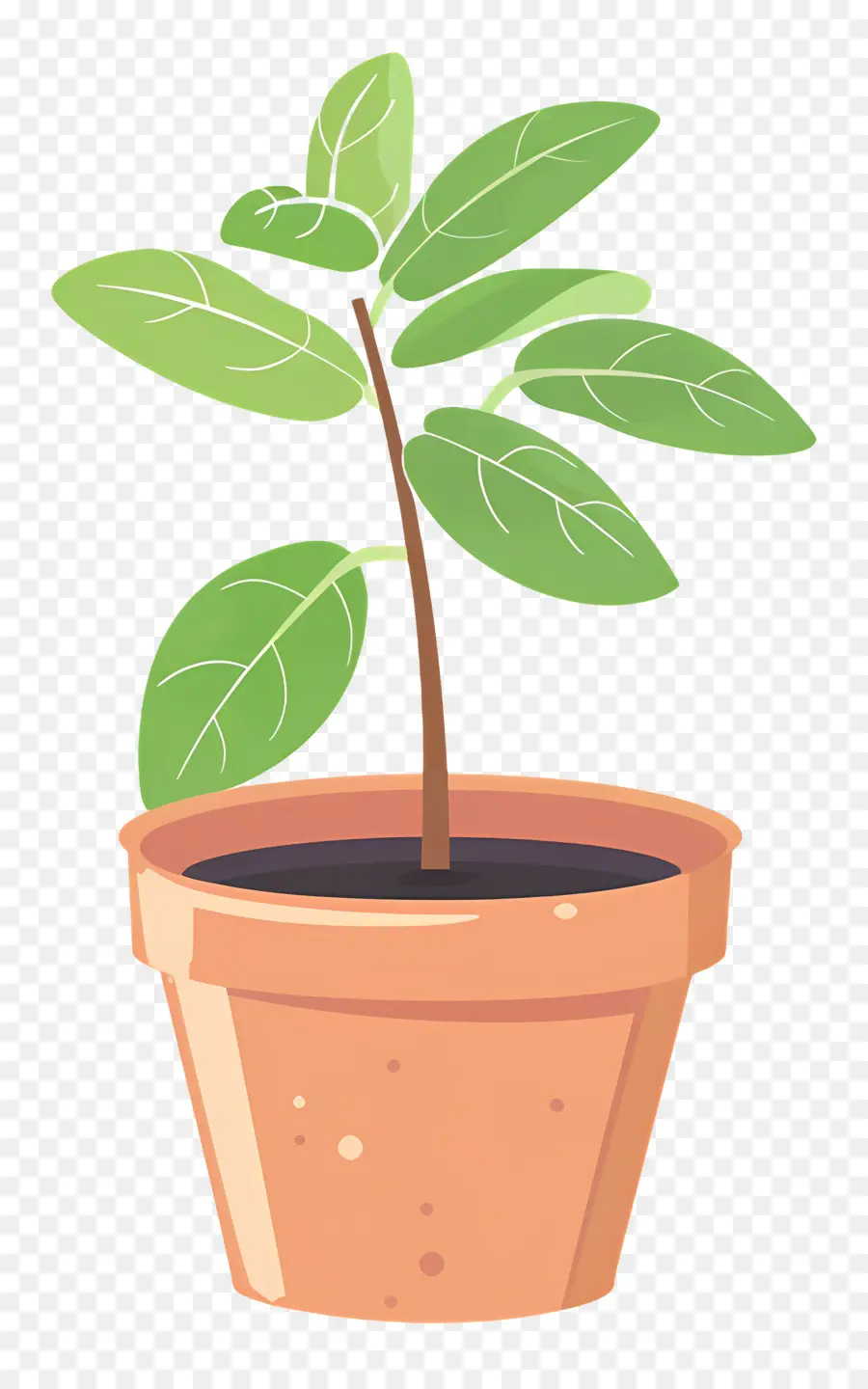 الشتلات，ل Houseplant PNG