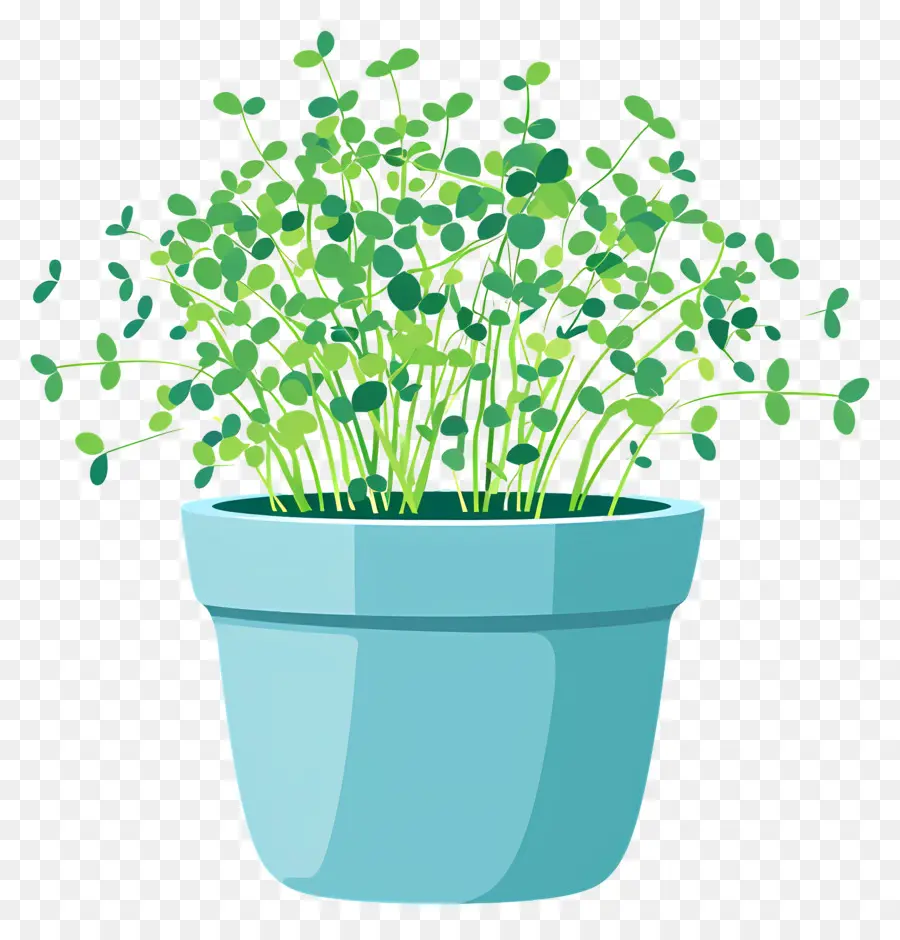 وعاء من Microgreens，نبات محفوظ بوعاء صغير PNG