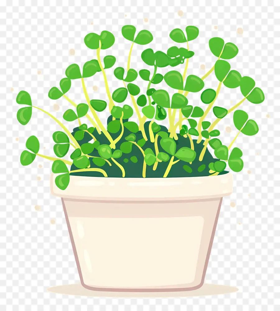 وعاء من Microgreens，سرخس PNG