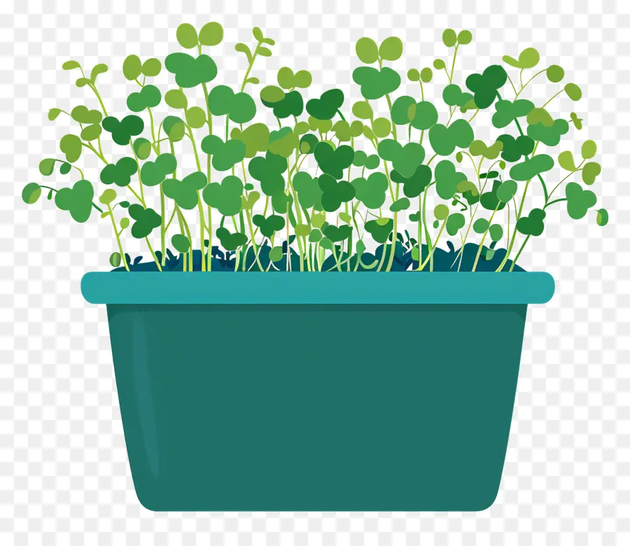 وعاء من Microgreens，وعاء خزفي أزرق صغير PNG