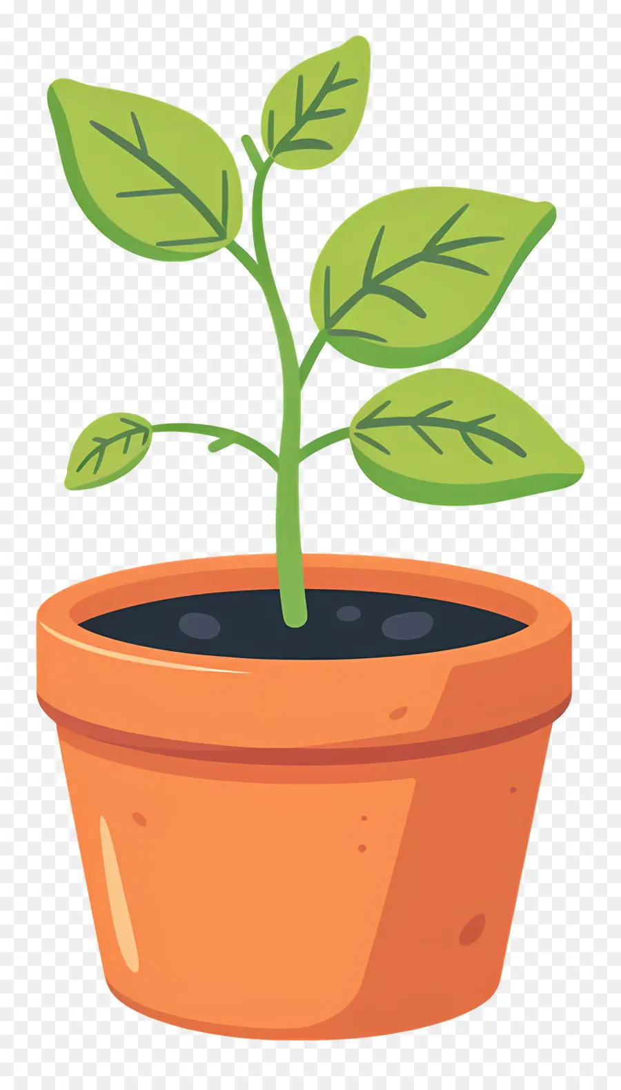 الشتلات，ل Houseplant PNG