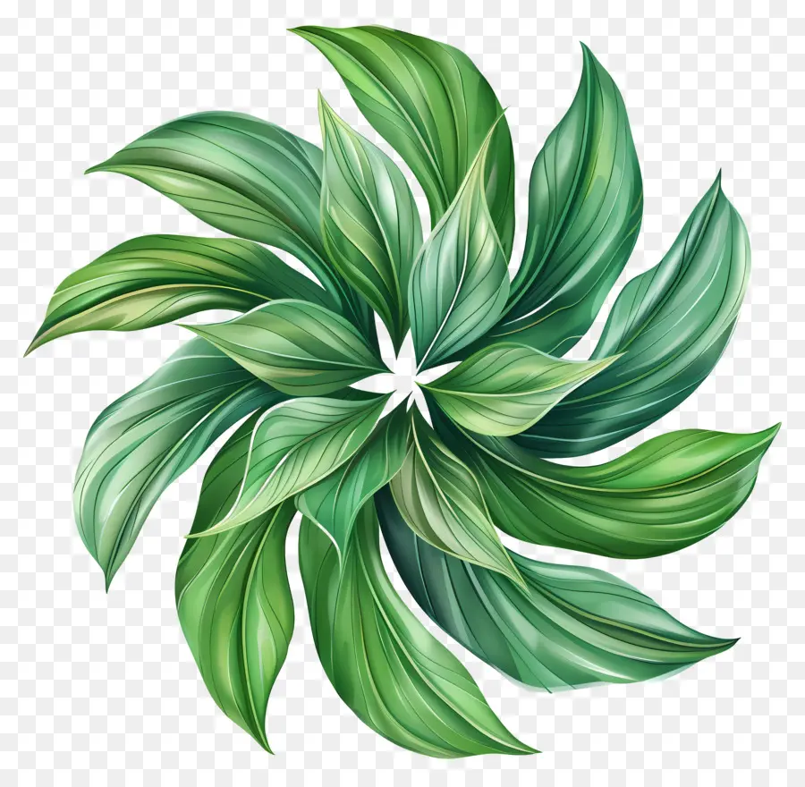 أوراق الغزل الخضراء，ل Houseplant PNG