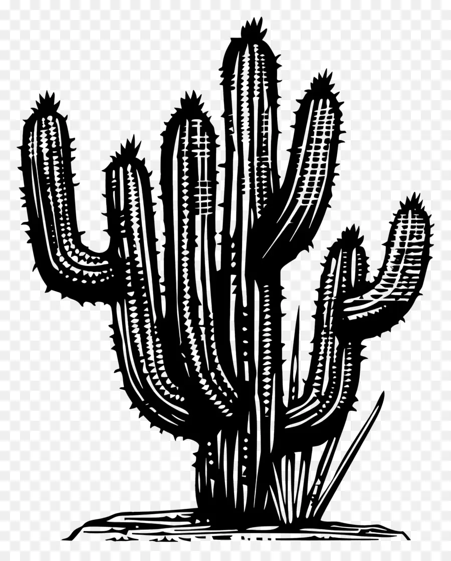 Linocut Cacti，الصبار PNG