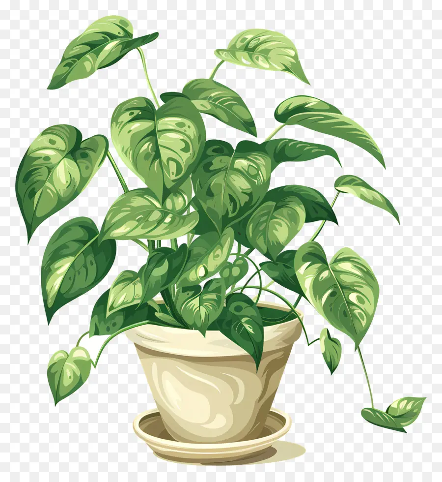 النقل المنزلي المتموج，ل Houseplant PNG