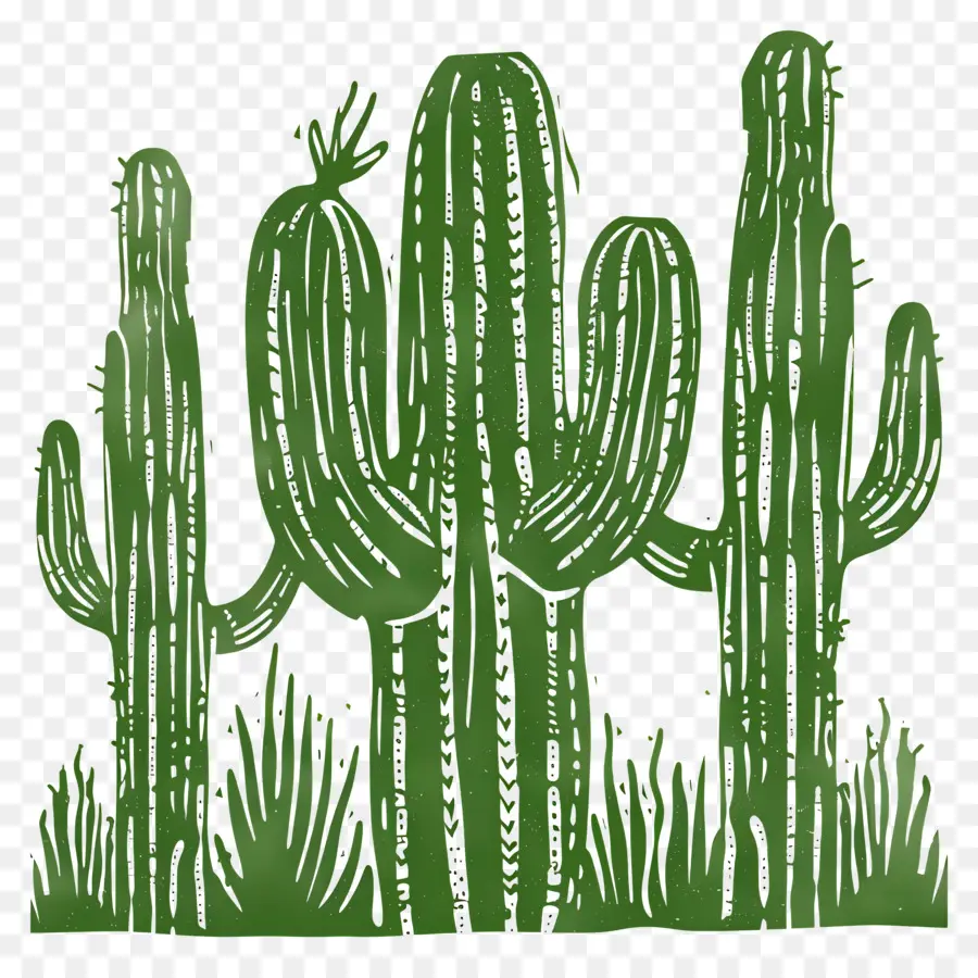 Linocut Cacti，الصبار PNG