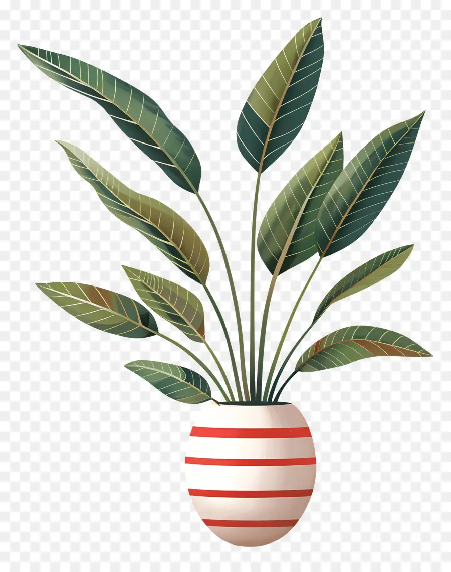 نبات استوائي，ل Houseplant PNG