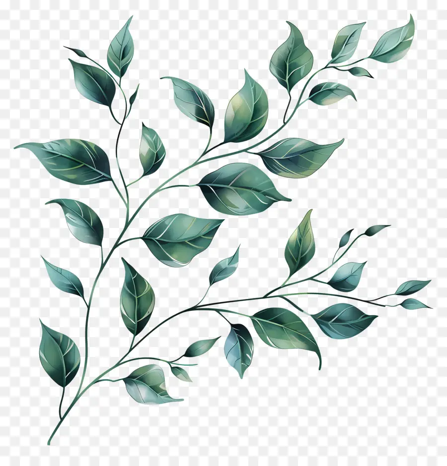 Sprig مع الأوراق，الأخضر فرع PNG