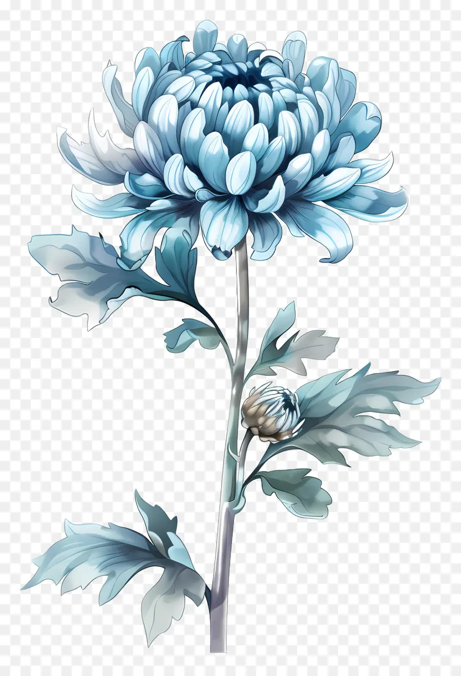 Blue Chrysanthemum，الجذعية PNG