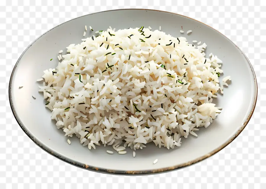 جيرا رايس，طبق أرز PNG