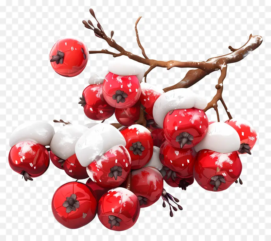 Com Winterberry，التوت الأحمر PNG