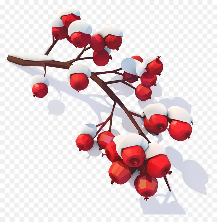 Com Winterberry，التوت الثلجي PNG