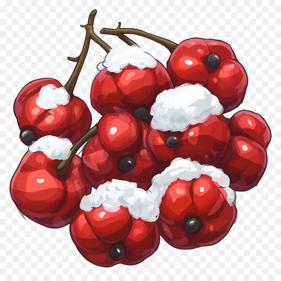 Com Winterberry，التوت الأحمر PNG